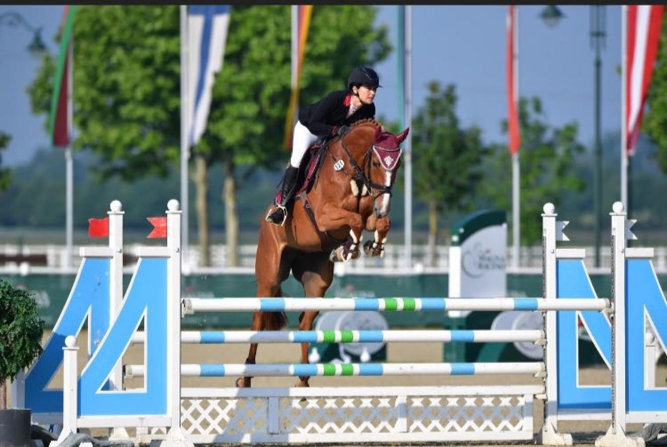 Sportpferde-MK - Christoph & Jasmin Kaufmann - Deesse De Rueire 8-years old Mare by De La Pomme - Successful Horses