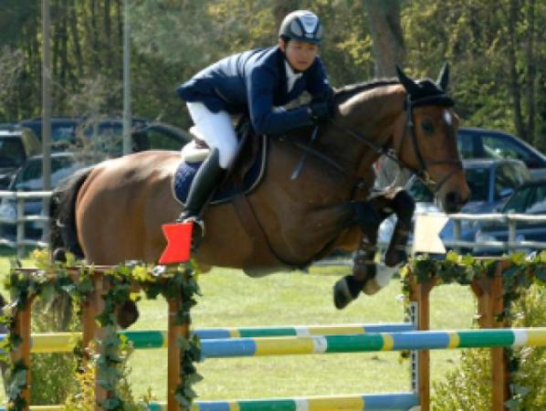 Erfolgspferde von Chambertin x Calypso I