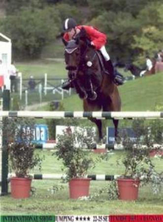 Successful Horses by Coriano x Corde la Bryere