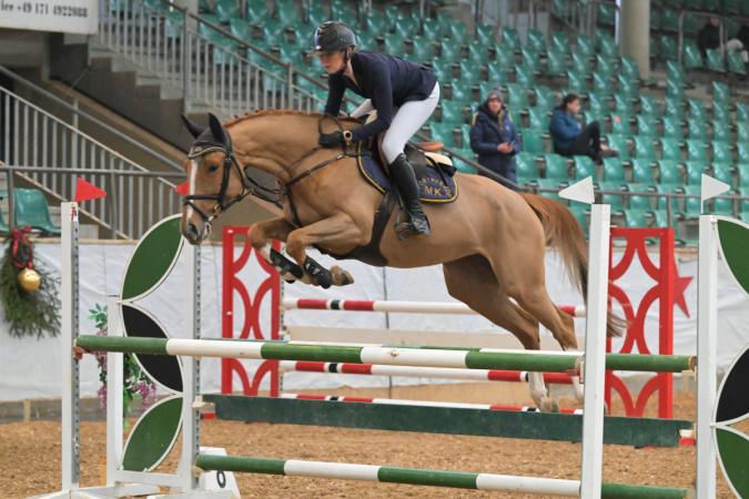 Erfolgspferde von Arezzo VDL x Copin van de Broy